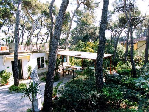 Hotel Park Boutique Castiglioncello Dış mekan fotoğraf